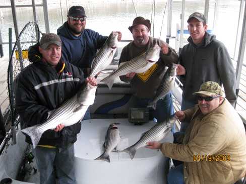 Nice Striped Bass