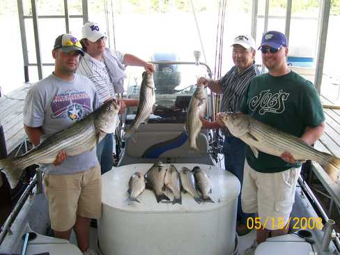 Nice Striped Bass