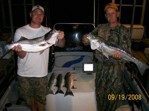 Nice Striped Bass