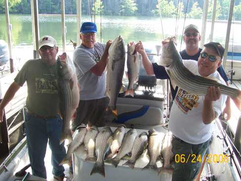 Nice Striped Bass