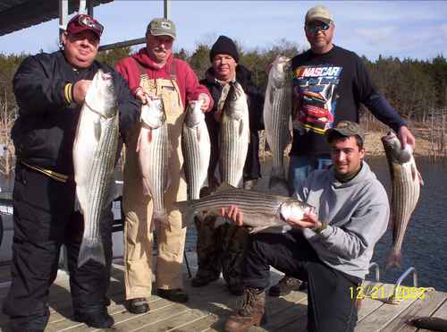 Nice Striped Bass