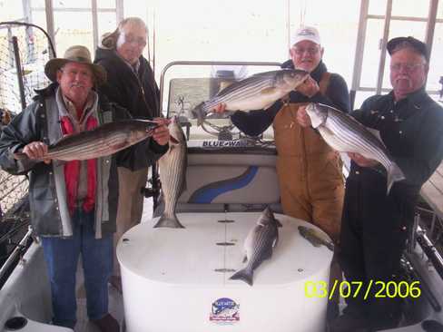 Nice Striped Bass