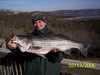 (02/13/2006) - Nice Striped Bass