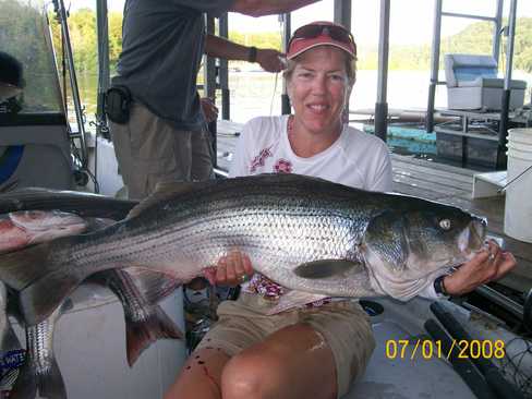 Nice Striped Bass