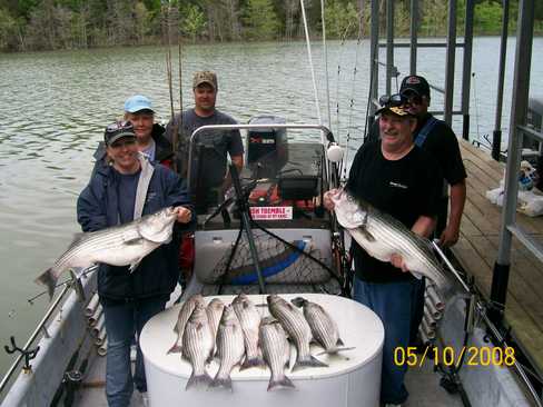 Nice Striped Bass