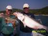 (09/10/2005) - Nice Striped Bass