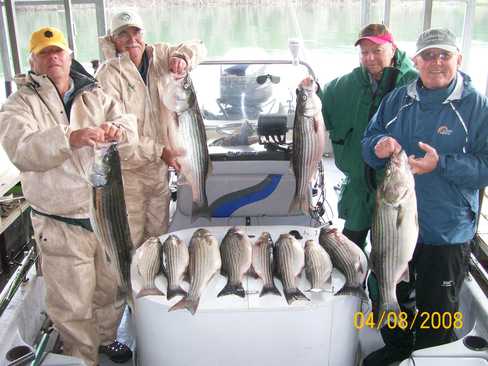 Nice Striped Bass