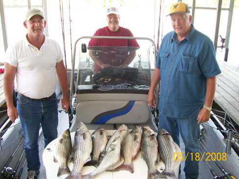 Nice Striped Bass