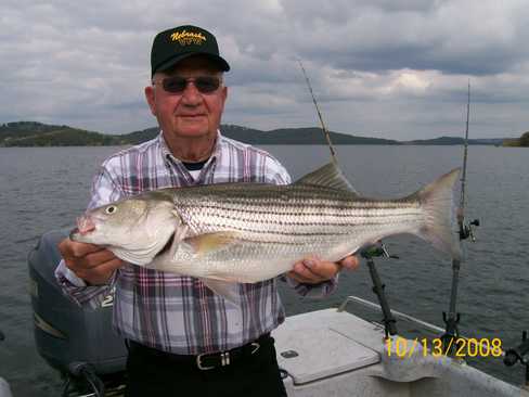 Nice Striped Bass