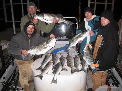 Nice Striped Bass