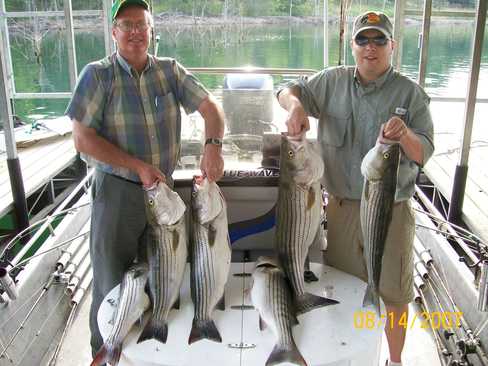 Nice Striped Bass