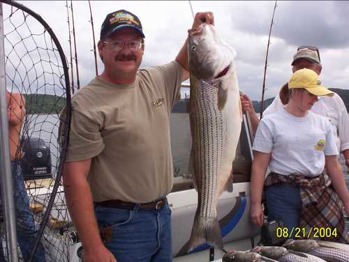 Nice Striped Bass