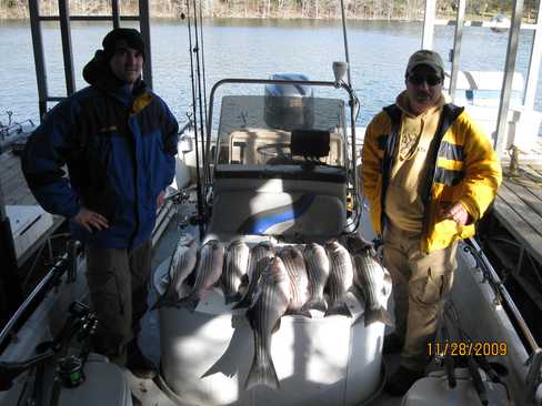 Nice Striped Bass