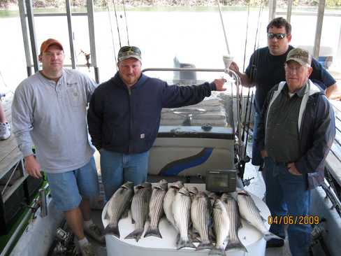 Nice Striped Bass