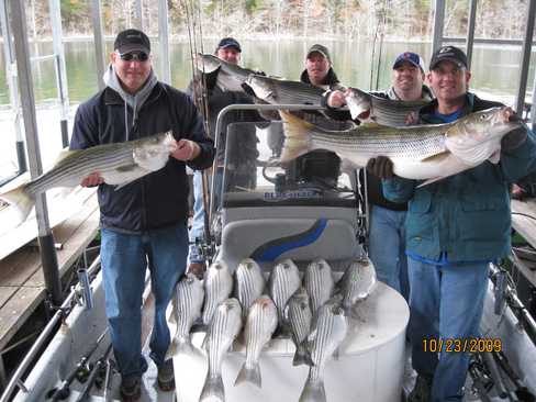 Nice Striped Bass