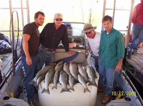 Limit of Striped Bass