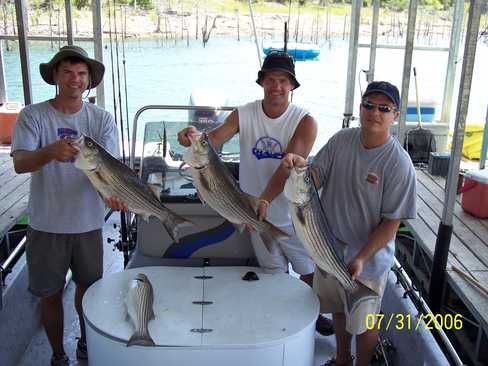 Nice Striped Bass