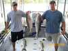 (08/31/2008) - Nice Striped Bass