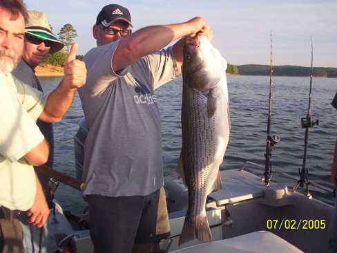 Nice Striped Bass