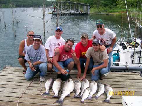 Nice Striped Bass