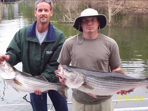 Nice Striped Bass