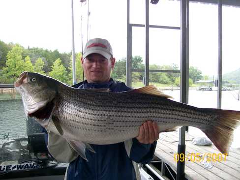 Now that is a Hog Striper