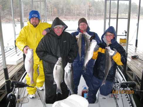 Nice Striped Bass