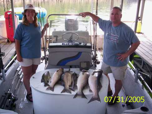 Nice Striped Bass