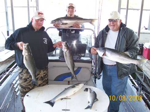 Nice Striped Bass