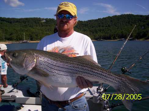 Now that is a Hog Striper