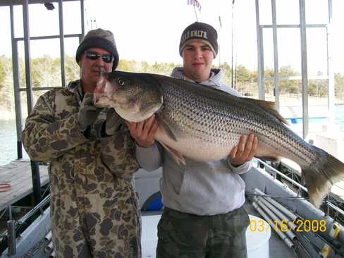 Nice Striped Bass