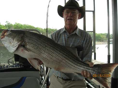 Nice Striped Bass