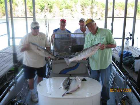 Nice Striped Bass