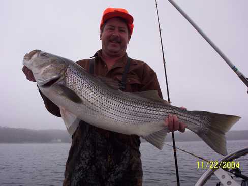 Nice Striped Bass