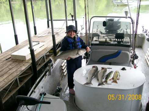Nice Striped Bass
