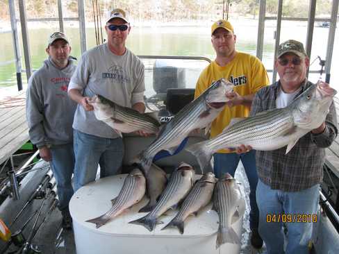 Nice Striped Bass