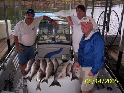 Nice Striped Bass