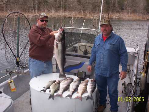 Nice Striped Bass