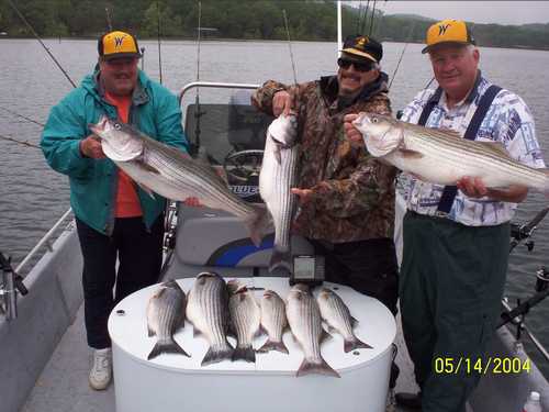 Excellent Striper Fishing