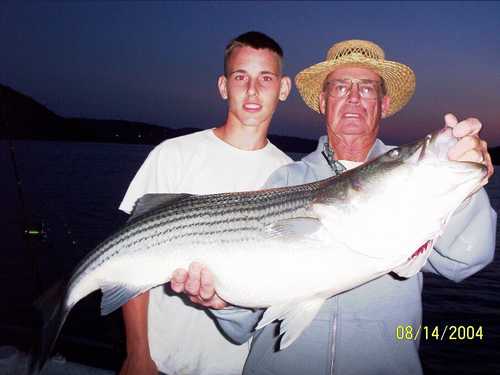 Nice Striped Bass