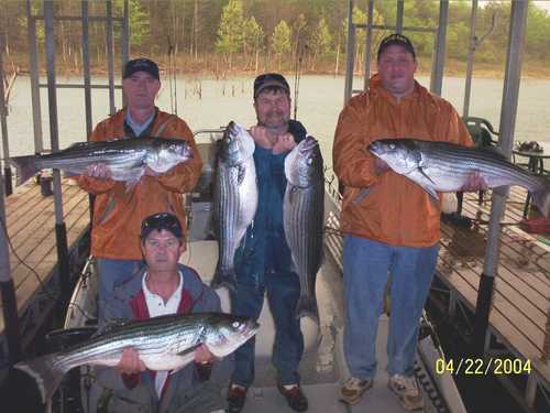 Nice Striped Bass