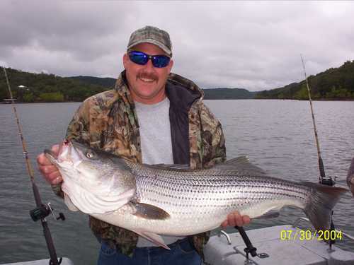 Nice Striped Bass