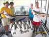 (06/07/2008) - Nice Striped Bass