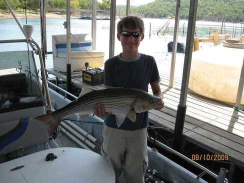 Nice Striped Bass