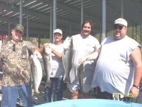 Nice Striped Bass