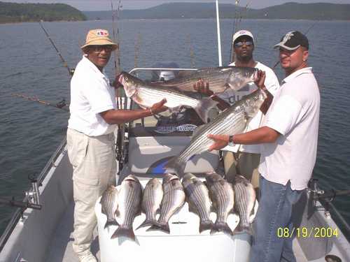 Excellent Striper Fishing