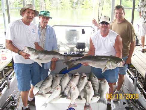 Nice Striped Bass