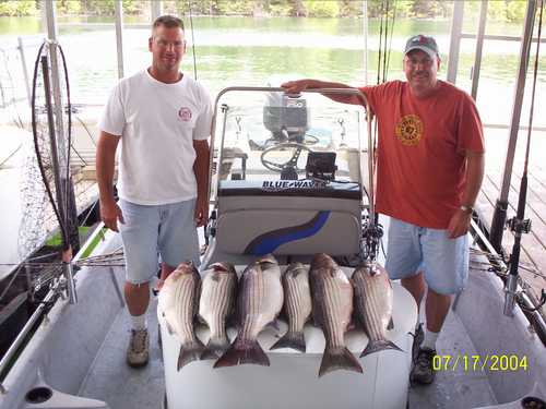 Nice Striped Bass