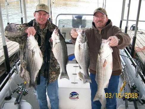Nice Striped Bass