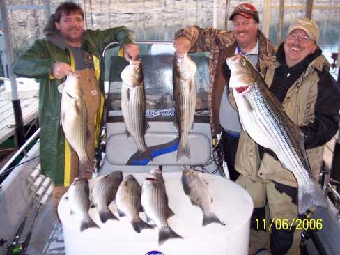 Nice Striped Bass